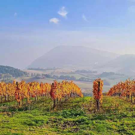 Conero Nyaraló Camerano