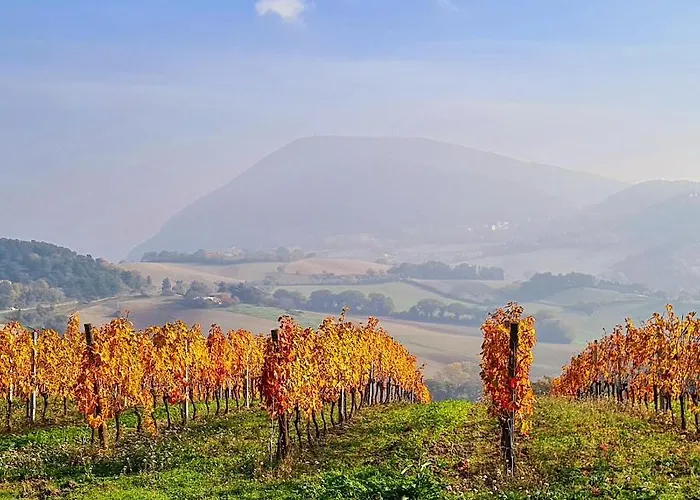 Conero Casa vacanze Camerano
